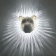 3D Animals LED Wall Owl Sleep Light Night Wall Light Bald Eagle Lion Wall Light AA Battery Plug into Wall for Stairway Hallway Kitchen Resin Craft 3D Animals LED Wall Owl Sleep Light Night Wall Light Bald Eagle Lion Wall Light AA Battery Plug into Wall for Stairway Hallway Kitchen Resin Craft