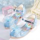 Girls' Heels Dress Shoes Flower Girl Shoes Princess Shoes School Shoes Leather PU Portable Breathability Non-slipping Princess Shoes Big Kids(7years +) Little Kids(4-7ys) School Gift Daily Walking Girls' Heels Dress Shoes Flower Girl Shoes Princess Shoes School Shoes Leather PU Portable Breathability Non-slipping Princess Shoes Big Kids(7years +) Little Kids(4-7ys) School Gift Daily Walking