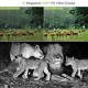 2023 Upgraded version New Wild Camera Photo-Traps 12MP 1080P Motion Triggered Hunting Wildcamera Trap IP66 Waterproof Outdoor Night Vision Trail Camera 2023 Upgraded version New Wild Camera Photo-Traps 12MP 1080P Motion Triggered Hunting Wildcamera Trap IP66 Waterproof Outdoor Night Vision Trail Camera