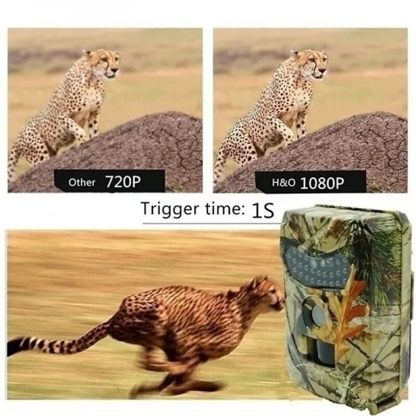 2023 Upgraded version New Wild Camera Photo-Traps 12MP 1080P Motion Triggered Hunting Wildcamera Trap IP66 Waterproof Outdoor Night Vision Trail Camera 2023 Upgraded version New Wild Camera Photo-Traps 12MP 1080P Motion Triggered Hunting Wildcamera Trap IP66 Waterproof Outdoor Night Vision Trail Camera